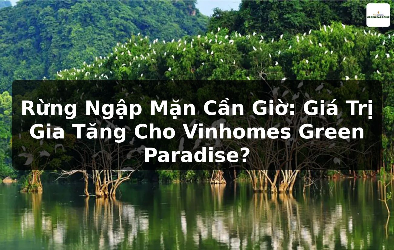 Rừng Ngập Mặn Cần Giờ: Giá Trị Gia Tăng Cho Vinhomes Green Paradise?