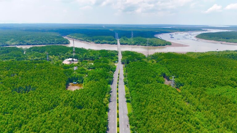 Vinhomes Green Paradise Cần Giờ - Không gian sống xanh giữa thiên nhiên